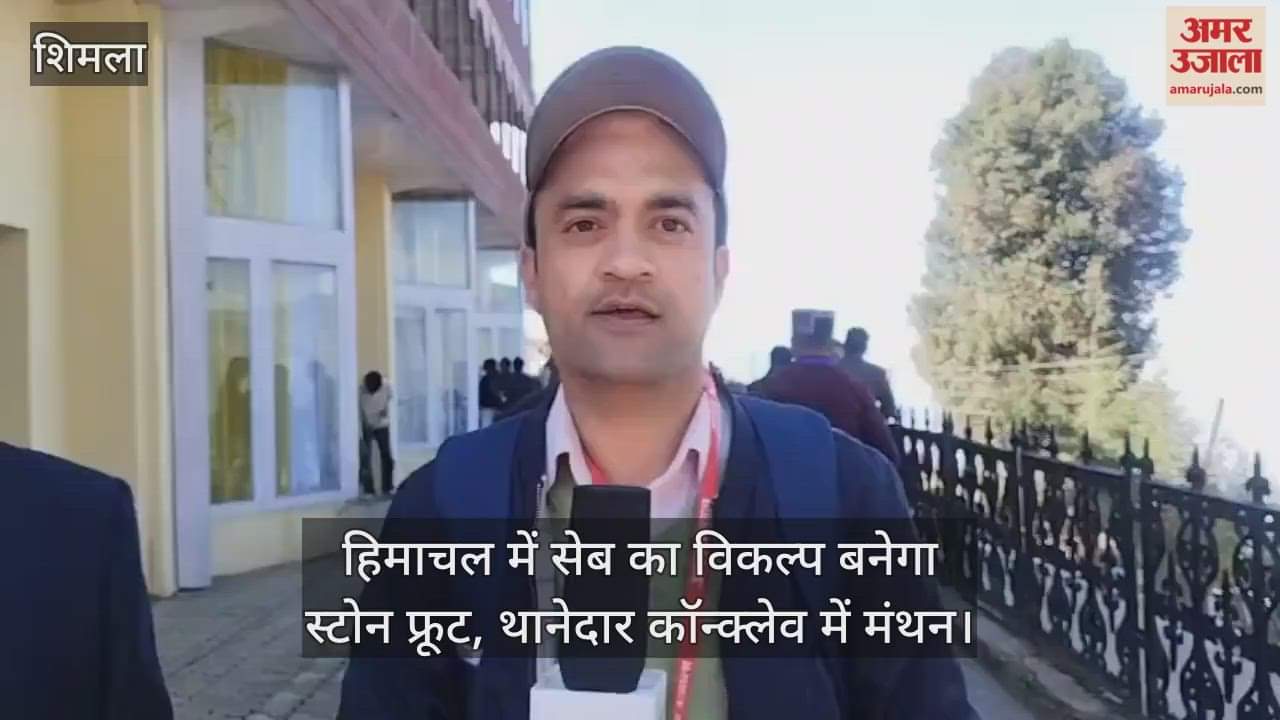 Stone fruit will become an alternative to apple in Himachal, brainstorming in Thanedar Conclave