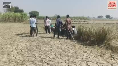 Thieves stole a pet cow from a village at night in Budaun