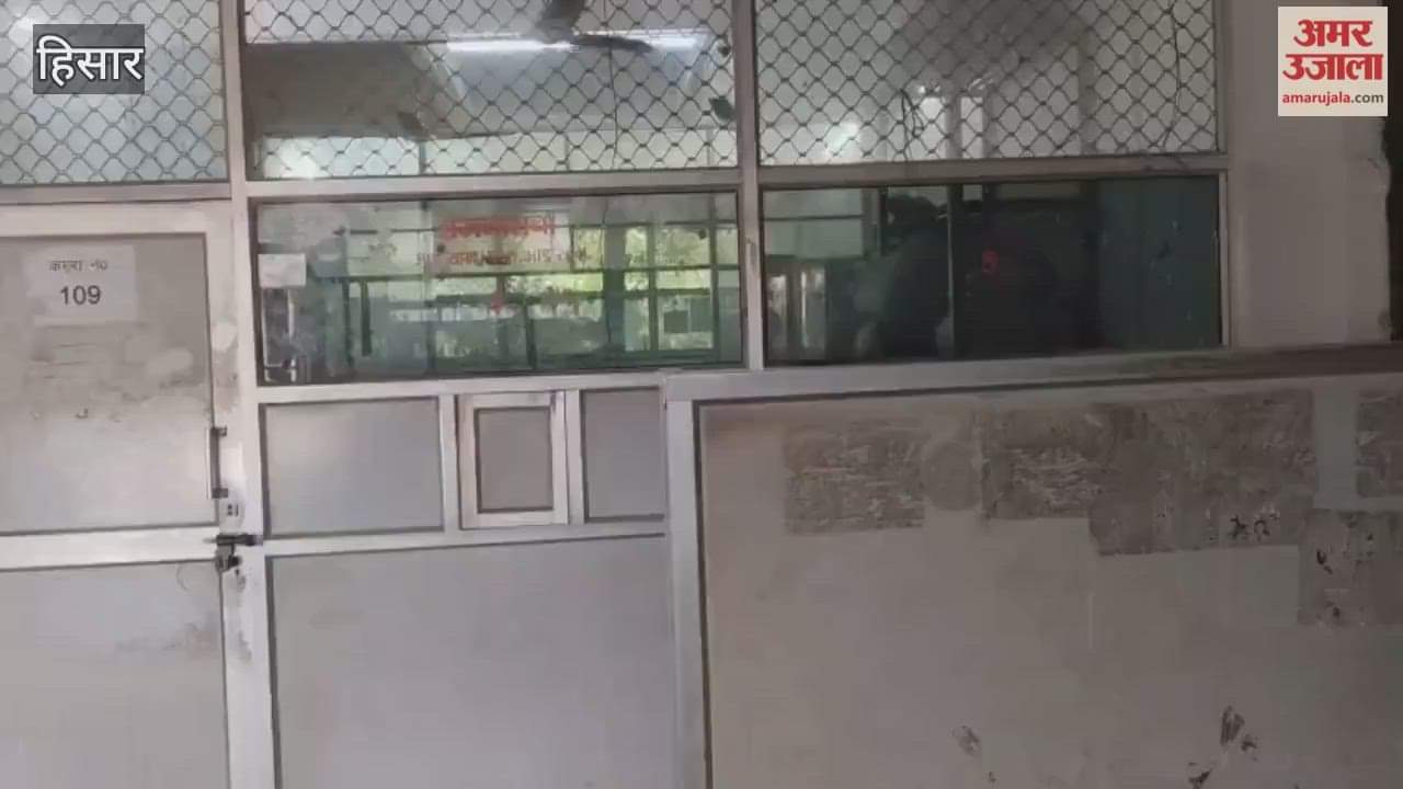 In Hisar, 10 documents were uploaded for paperless registration by 12 PM on Tuesday