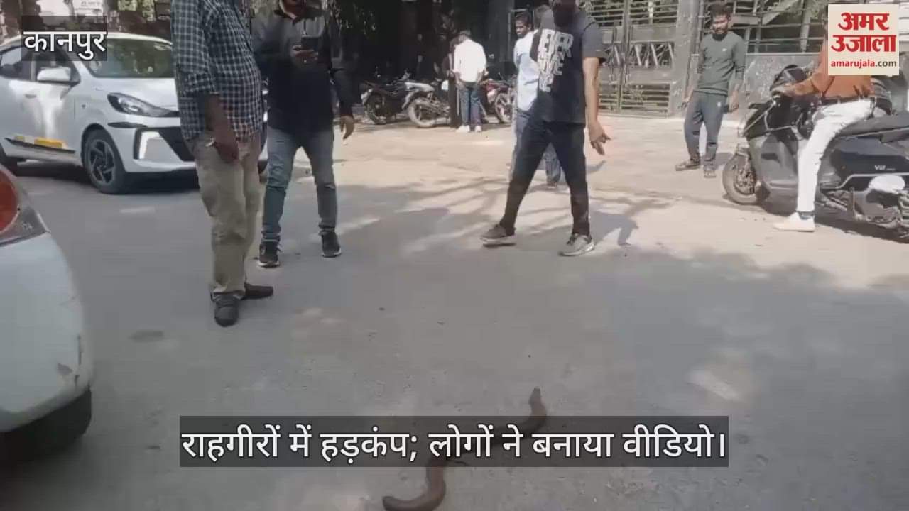 कानपुर: माल रोड पर गणेश उद्यान के सामने सांप निकलने से मचा हड़कंप