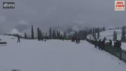 Fresh Snowfall in Gulmarg
