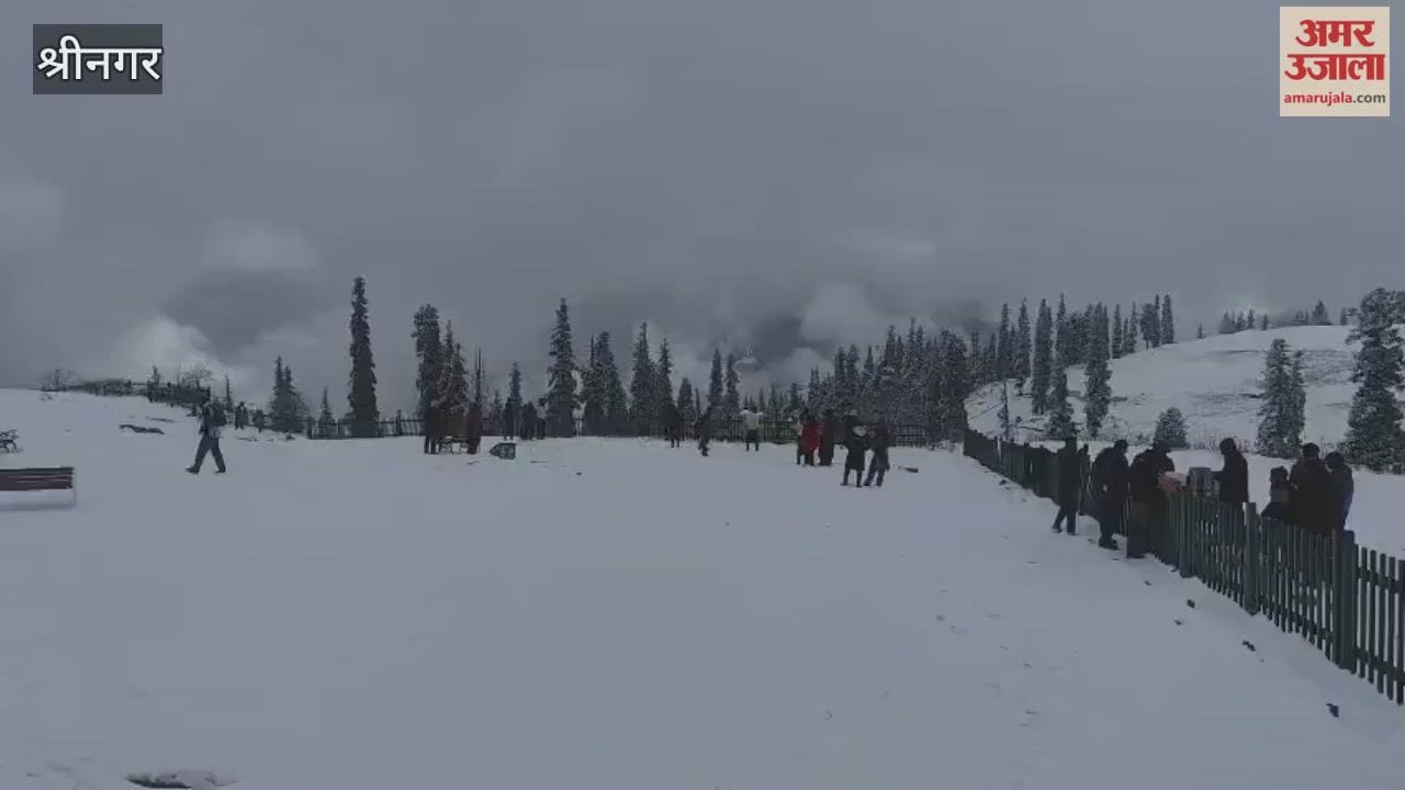 Fresh Snowfall in Gulmarg