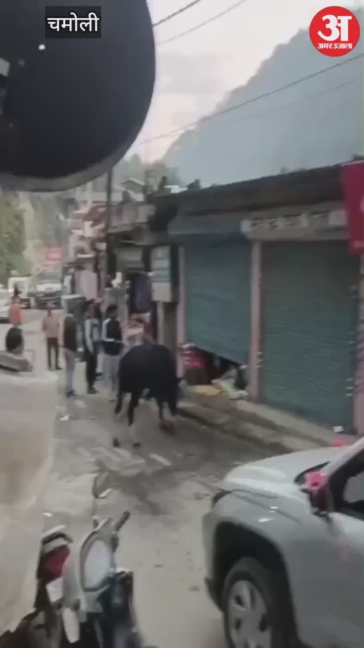 VIDEO: बाजार में सांड़ ने किया हमला, व्यापारी ने दुकान का शटर बंद कर बचाई जान