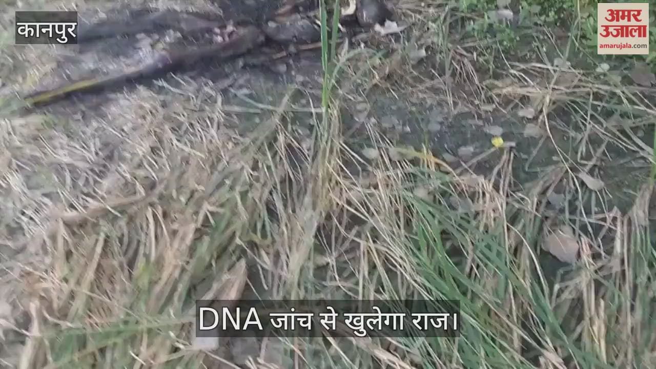 कानपुर: सचेंडी के खेत में मिला कंकाल, जली हुई थी आसपास की घास