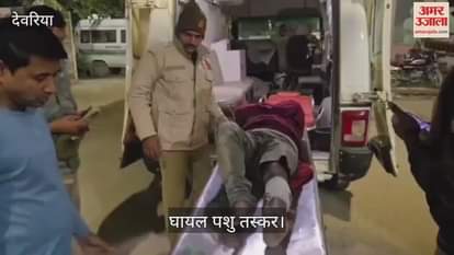 Cow smuggler injured in police encounter with bullet in leg