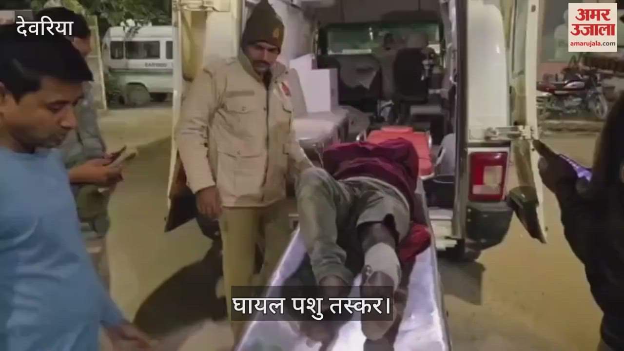 Cow smuggler injured in police encounter with bullet in leg