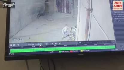 Daylight hooliganism in Bhiwani, a youth was attacked with sticks in the street