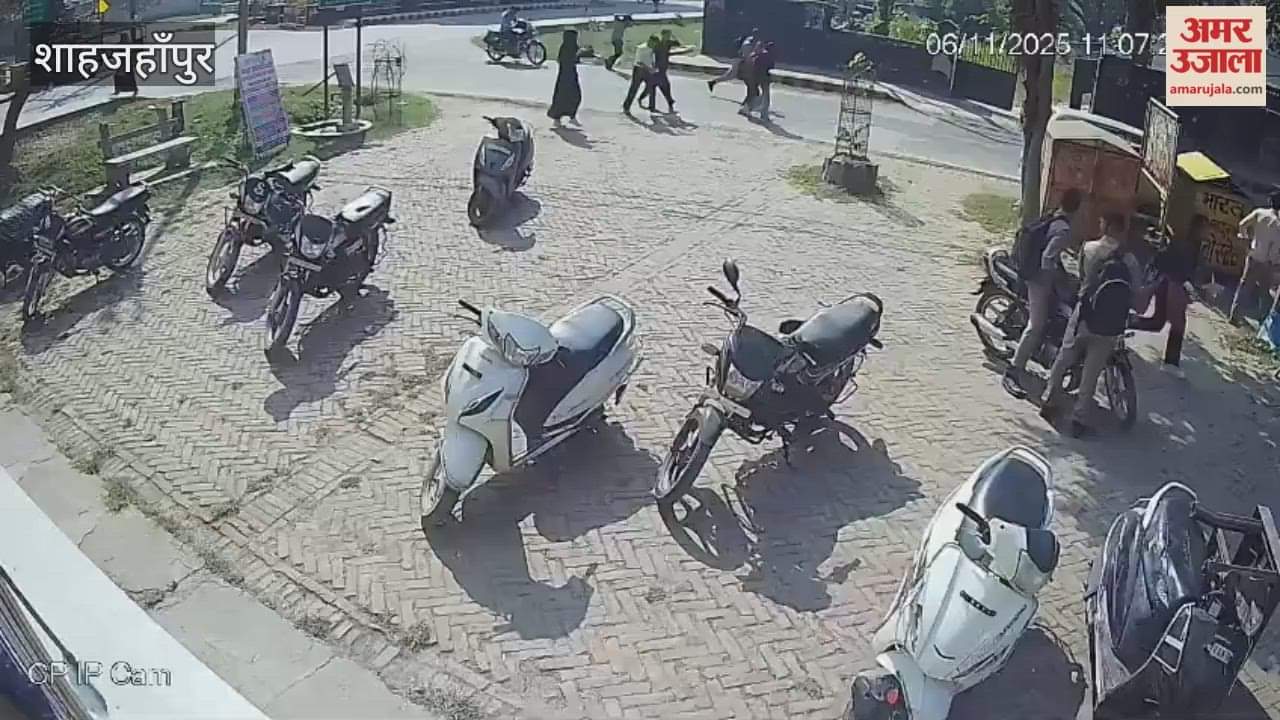 Bees attack in Cantt area, people run for their lives in Shahjahanpur