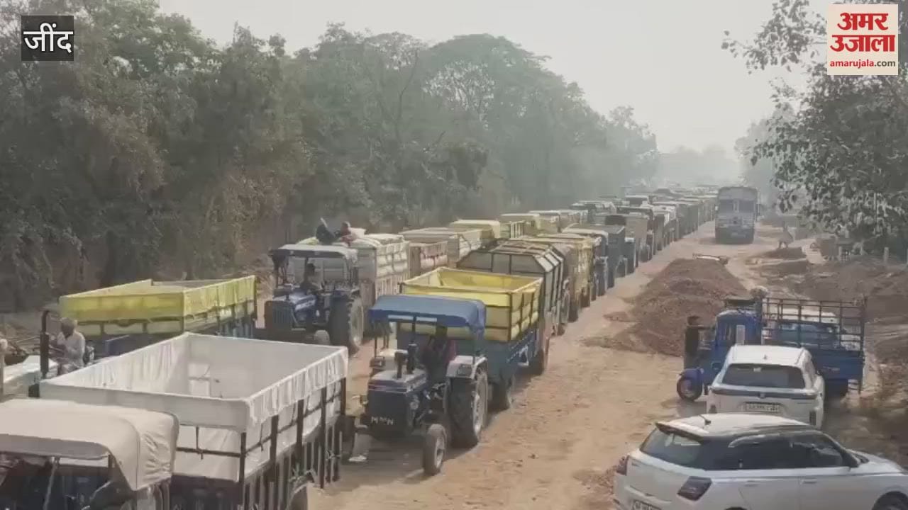 Bumper arrival of paddy recorded in the grain market of Julana in Jind