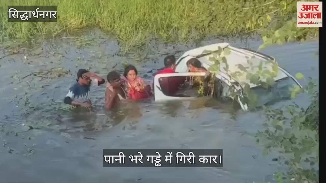 The driver dozed off and the car fell into a water-filled ditch