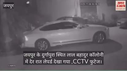 Leopard Spotted in Jaipur’s Durgapura; Overnight Search Operation Launched