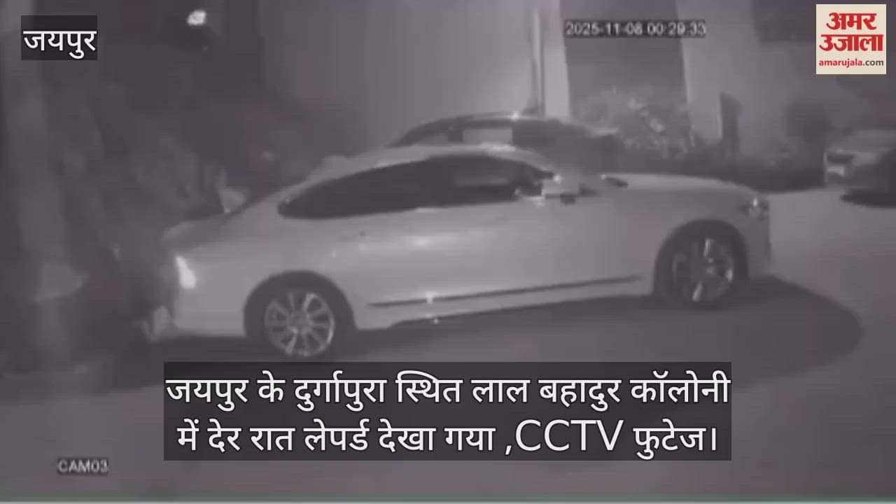 Leopard Spotted in Jaipur’s Durgapura; Overnight Search Operation Launched