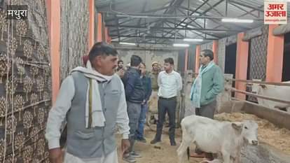 DM inspected cow shelter in Mathura
