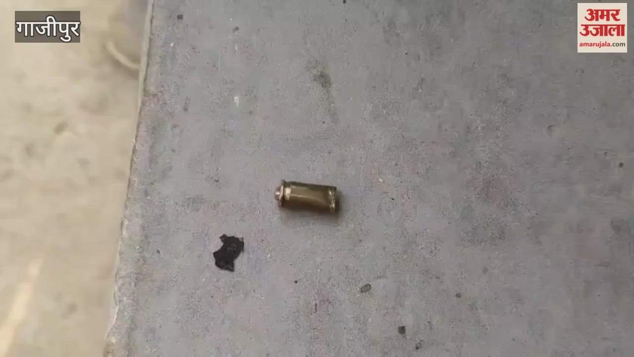 Temple priest shot in Ghazipur VIDEO