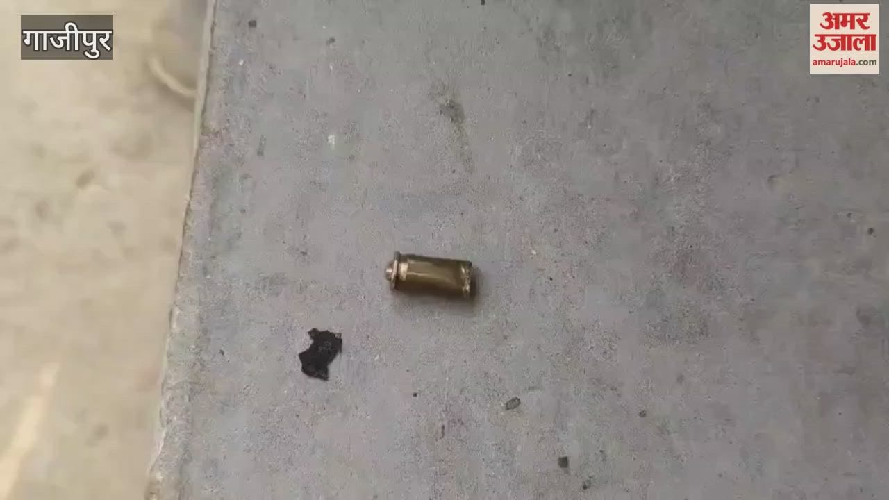 Temple priest shot in Ghazipur VIDEO