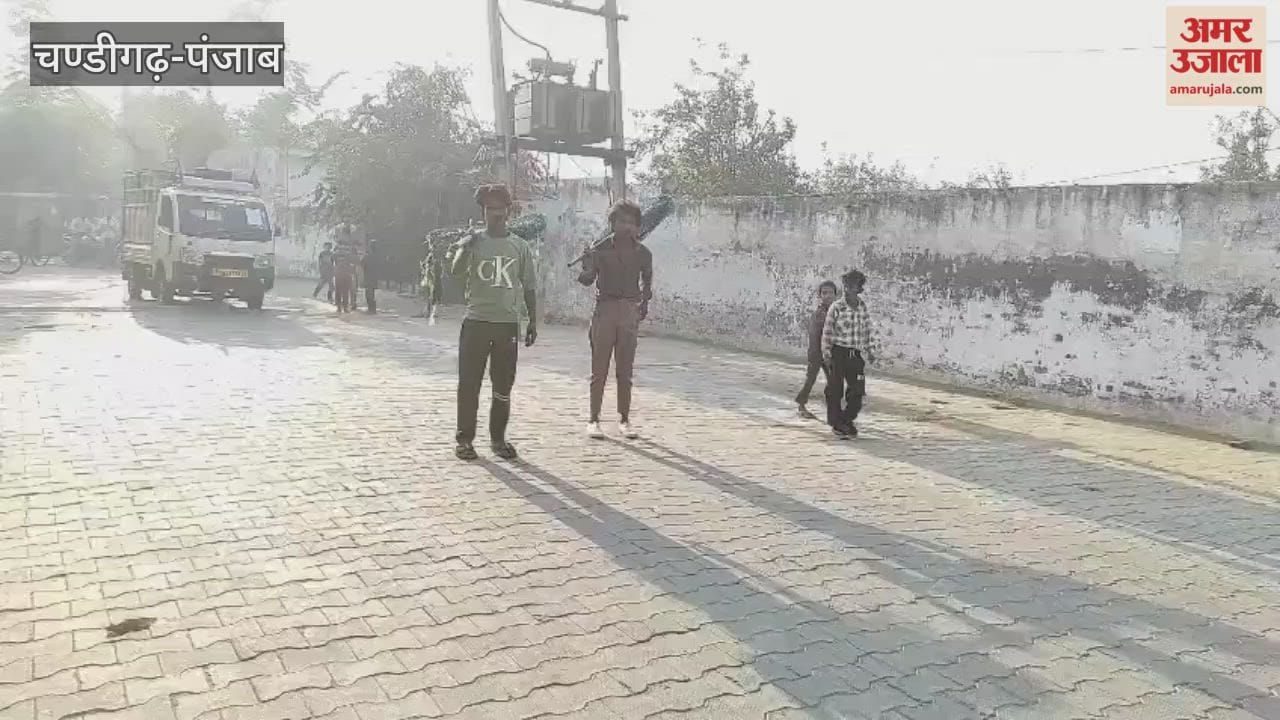 Campaign to capture dangerous dogs continues in Khanna