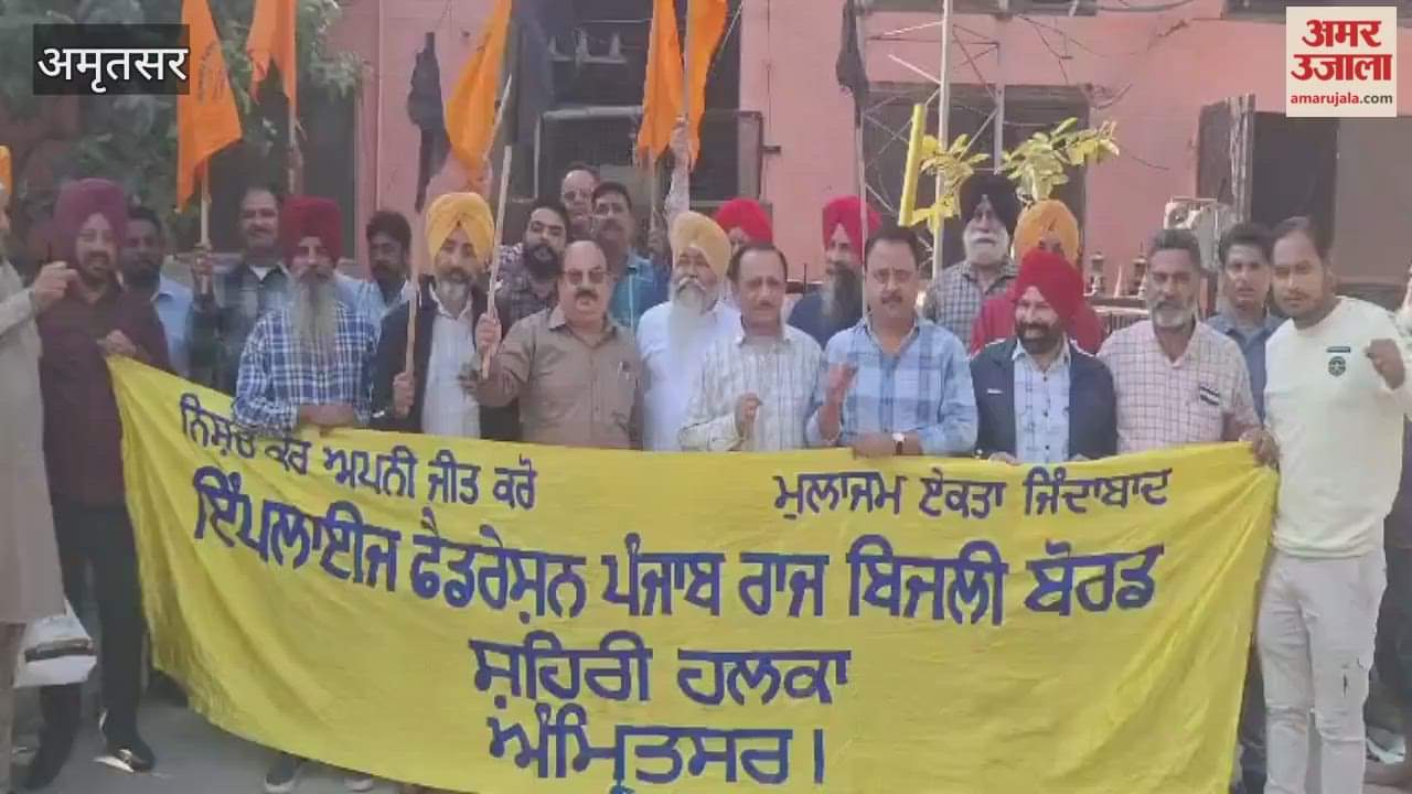 Electricity employees raised slogans against the Finance Minister in Amritsar