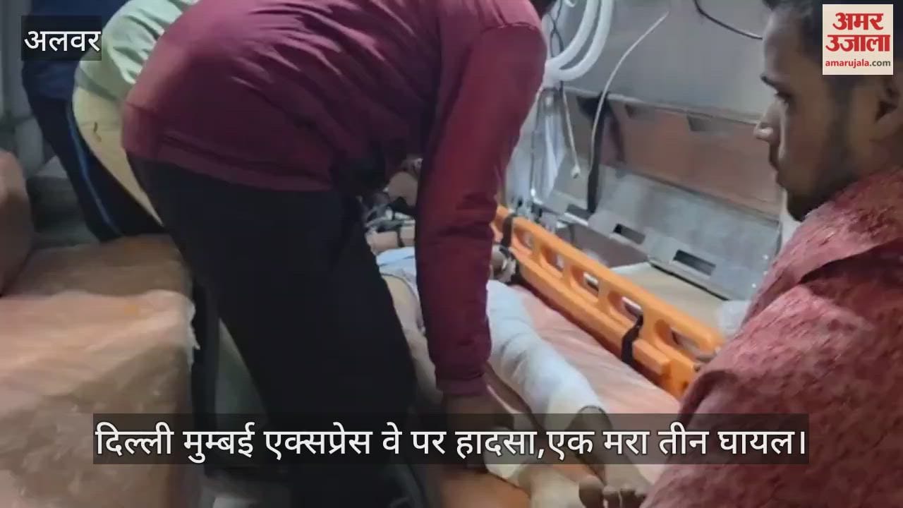 Alwar News: Speeding Scorpio Overturns on Delhi-Mumbai Expressway, Driver Killed