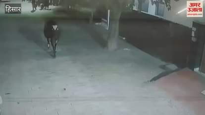 grand function was organised in Kaithal to mark the completion of 150 years of the song Vande Mataram.