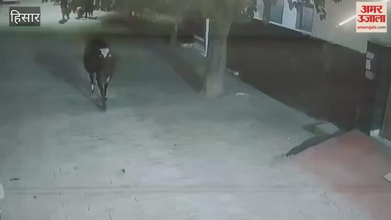 grand function was organised in Kaithal to mark the completion of 150 years of the song Vande Mataram.