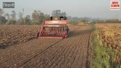 Wheat sowing work started in Bhiwani district