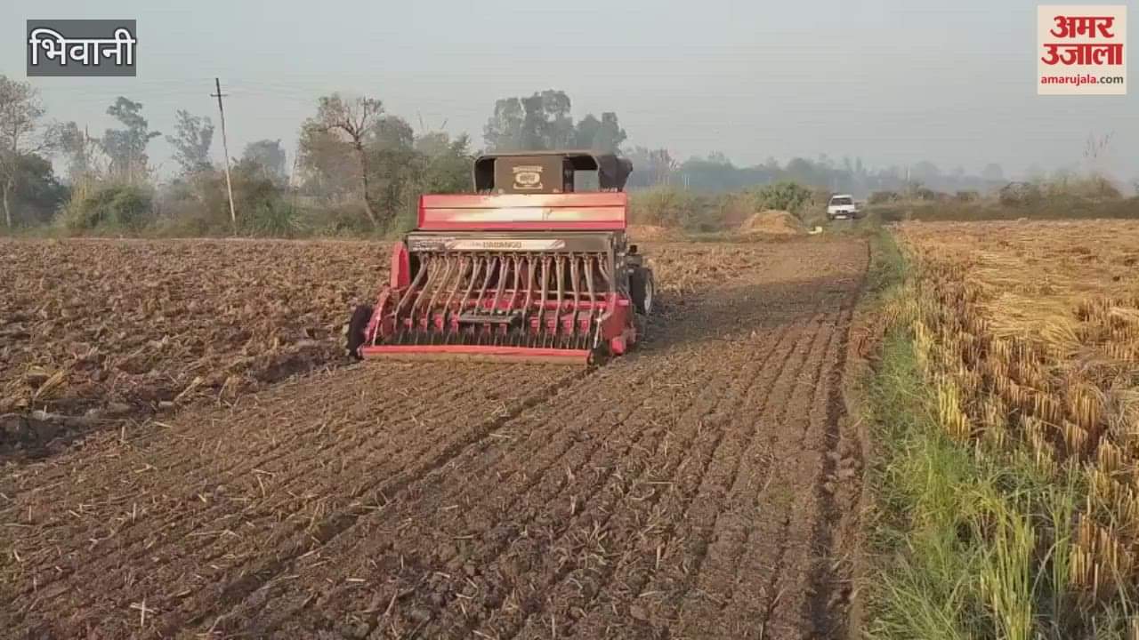 Wheat sowing work started in Bhiwani district