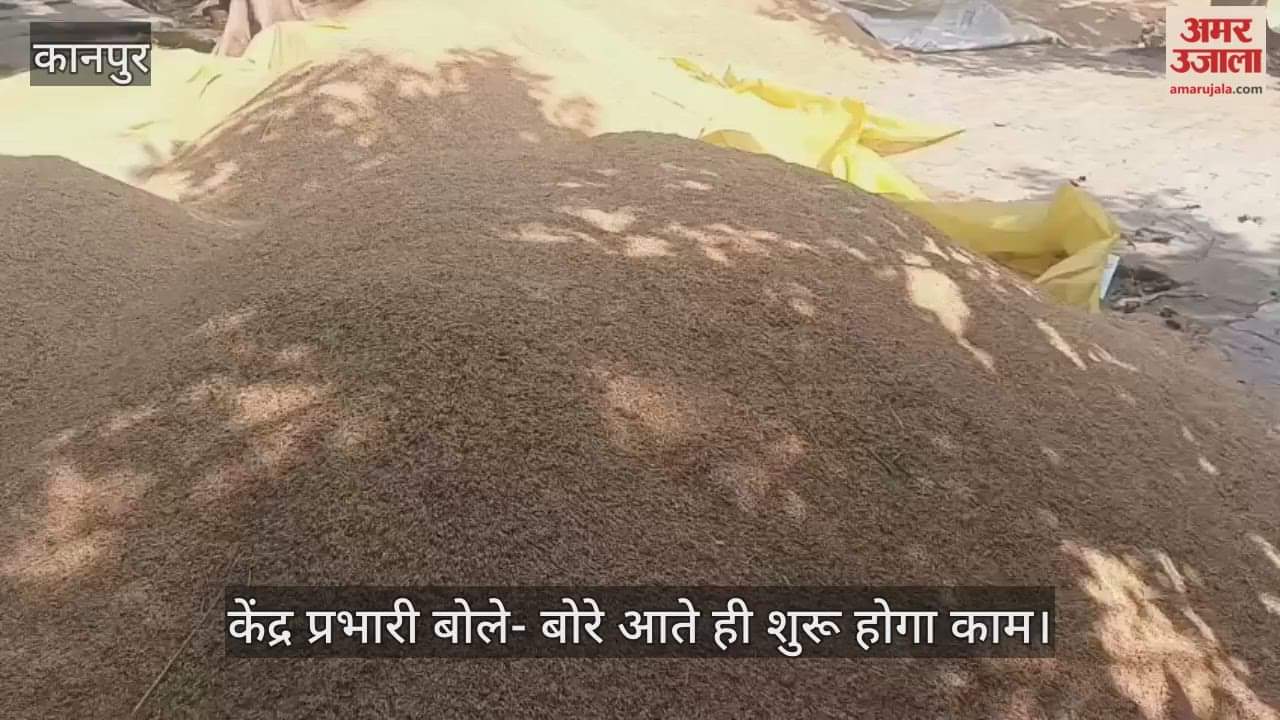 कानपुर: बोरे खत्म…धान की खरीद ठप, घाटमपुर के बीरपुर पीसीएफ केंद्र पर नहीं हो पा रही तौल