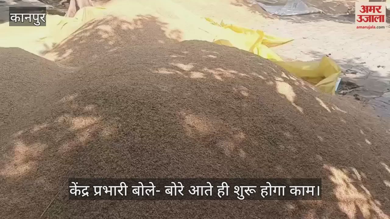 कानपुर: बोरे खत्म…धान की खरीद ठप, घाटमपुर के बीरपुर पीसीएफ केंद्र पर नहीं हो पा रही तौल