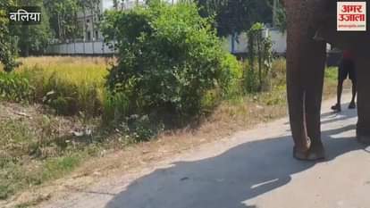 Kalash procession took place in Aaripur Saraya cheers echoed