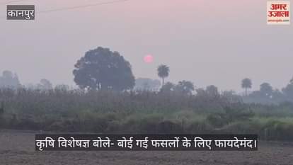 कानपुर: आसमान साफ होने से ओस की मात्रा बढ़ी, बोई गई फसलों को मिल रहा जीवनदान