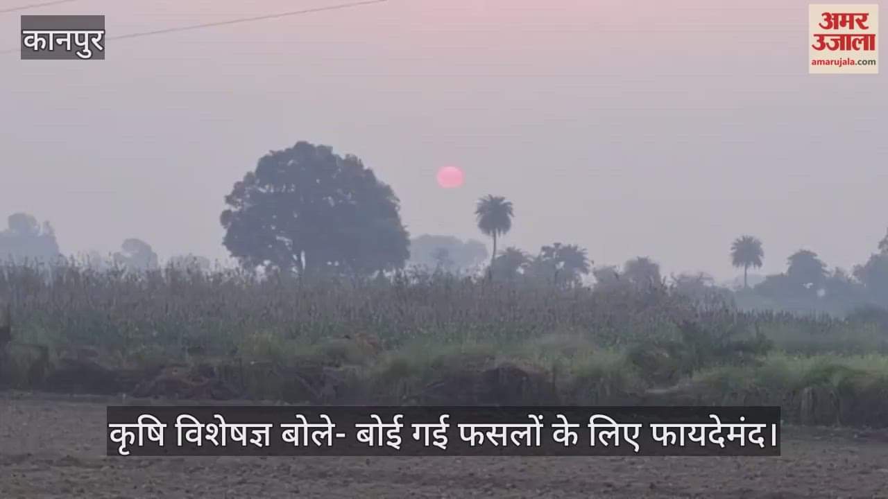 कानपुर: आसमान साफ होने से ओस की मात्रा बढ़ी, बोई गई फसलों को मिल रहा जीवनदान
