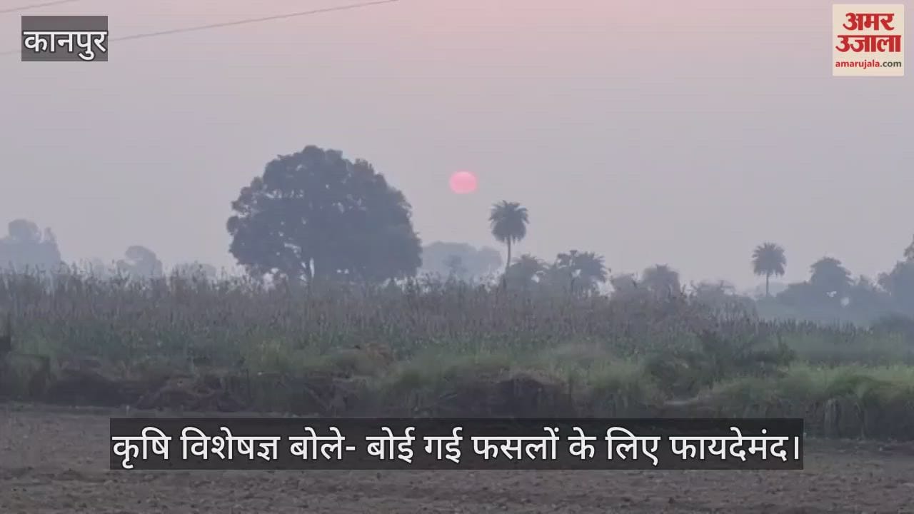 कानपुर: आसमान साफ होने से ओस की मात्रा बढ़ी, बोई गई फसलों को मिल रहा जीवनदान