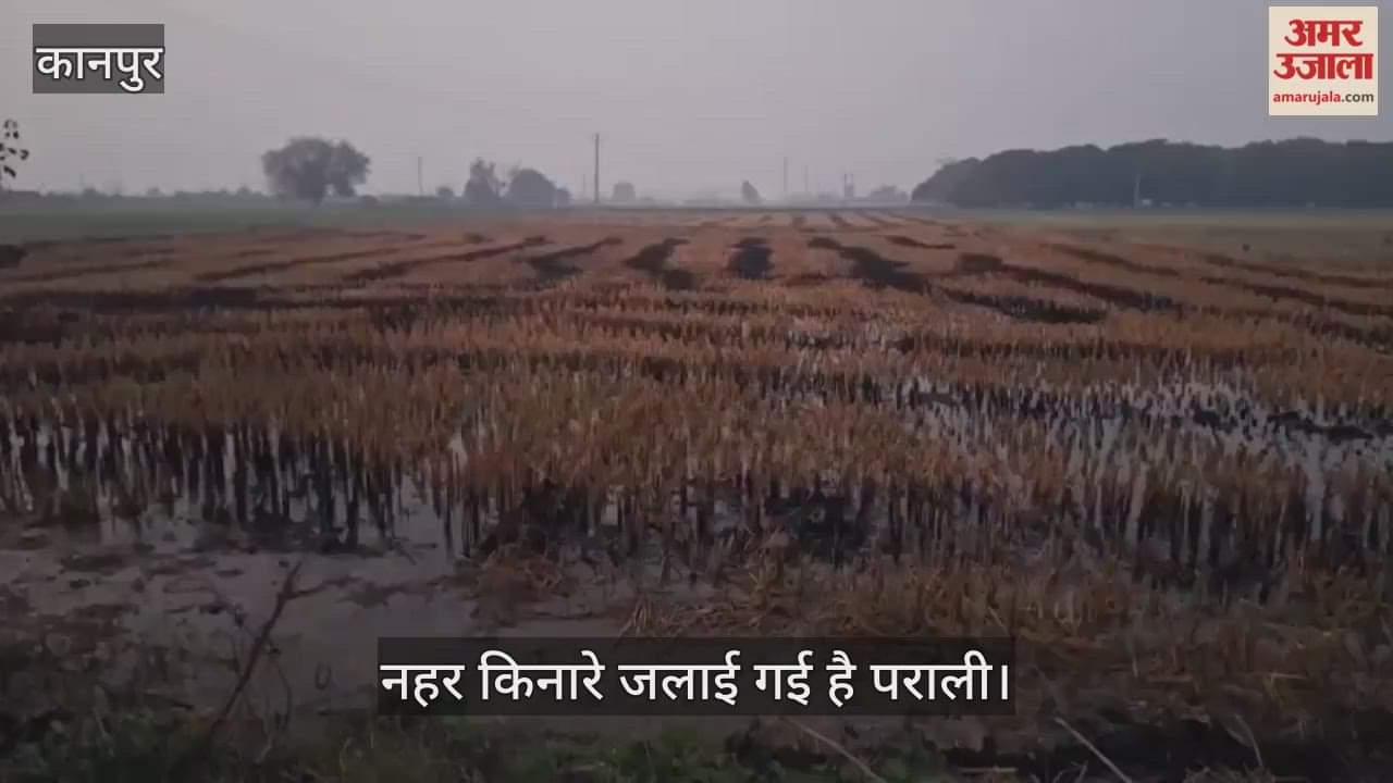 कानपुर: भीतरगांव में धड़ल्ले से जल रही पराली और खेतों का अपशिष्ट