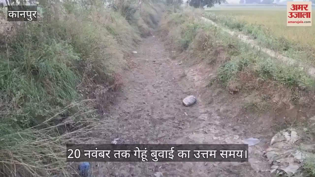 कानपुर: माइनर सफाई न होने से गेहूं बुवाई में देरी, पानी न मिलने से निकल रहा है समय