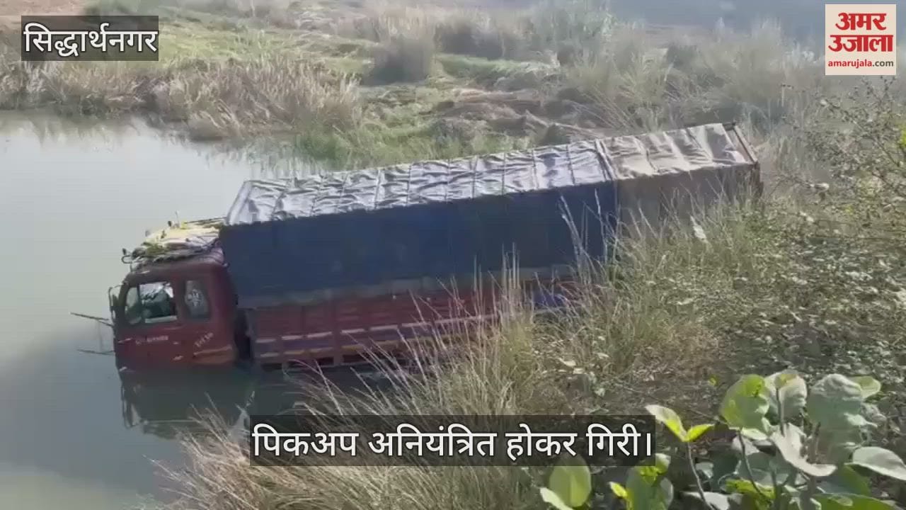 Pickup falls into a ditch, passengers narrowly escape
