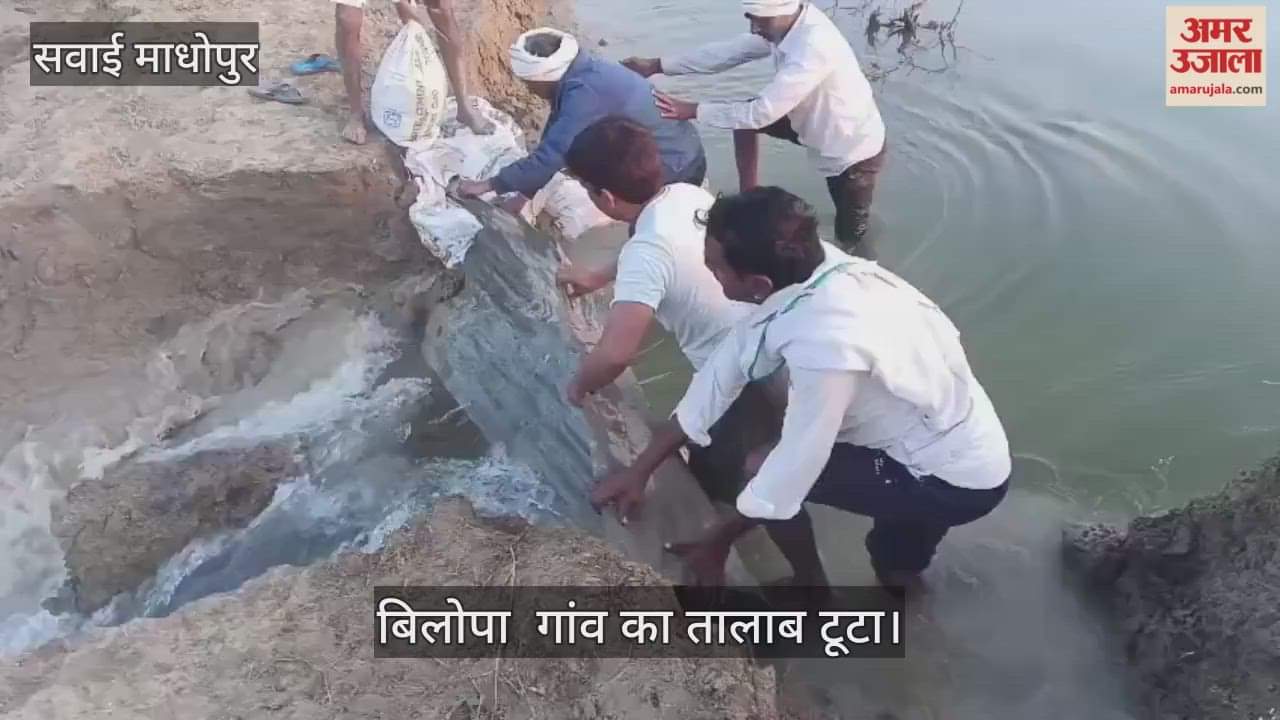 Sawai Madhopur News: Bilopa village pond breaks again, villagers busy repairing it