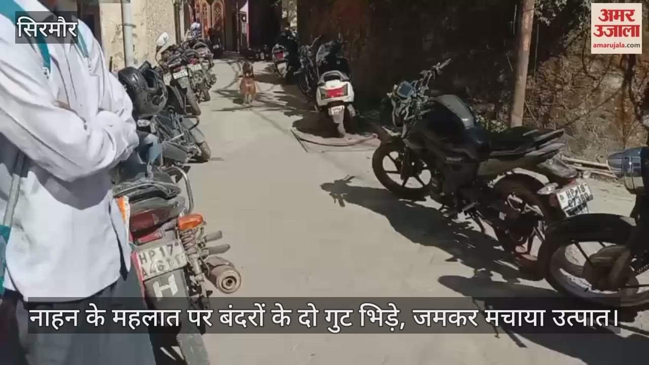 Two groups of monkeys clashed at Mahalat in Nahan, causing havoc, toppling bikes and blocking the road.