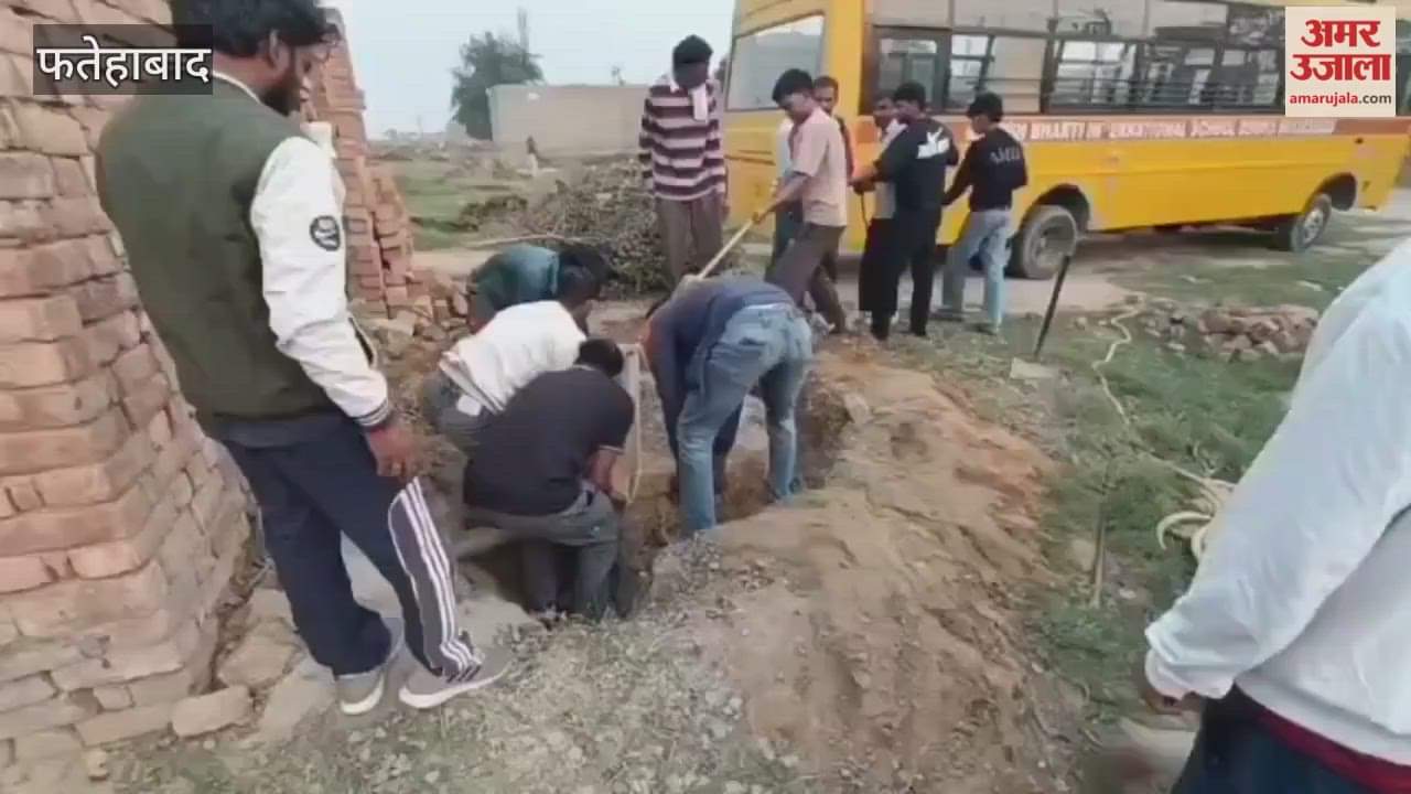 A puppy and a snake that fell into a well in Tohana were rescued safely.