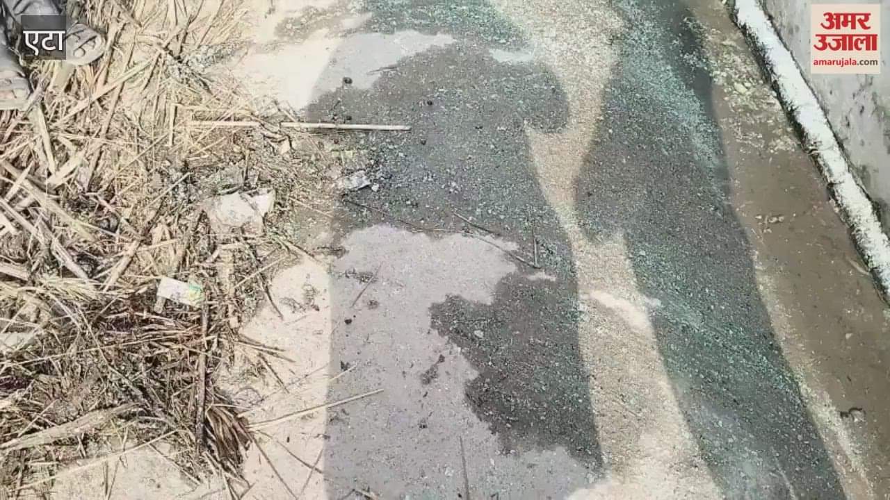 No road cleaning this is the condition of Misa Kala village in Avagarh