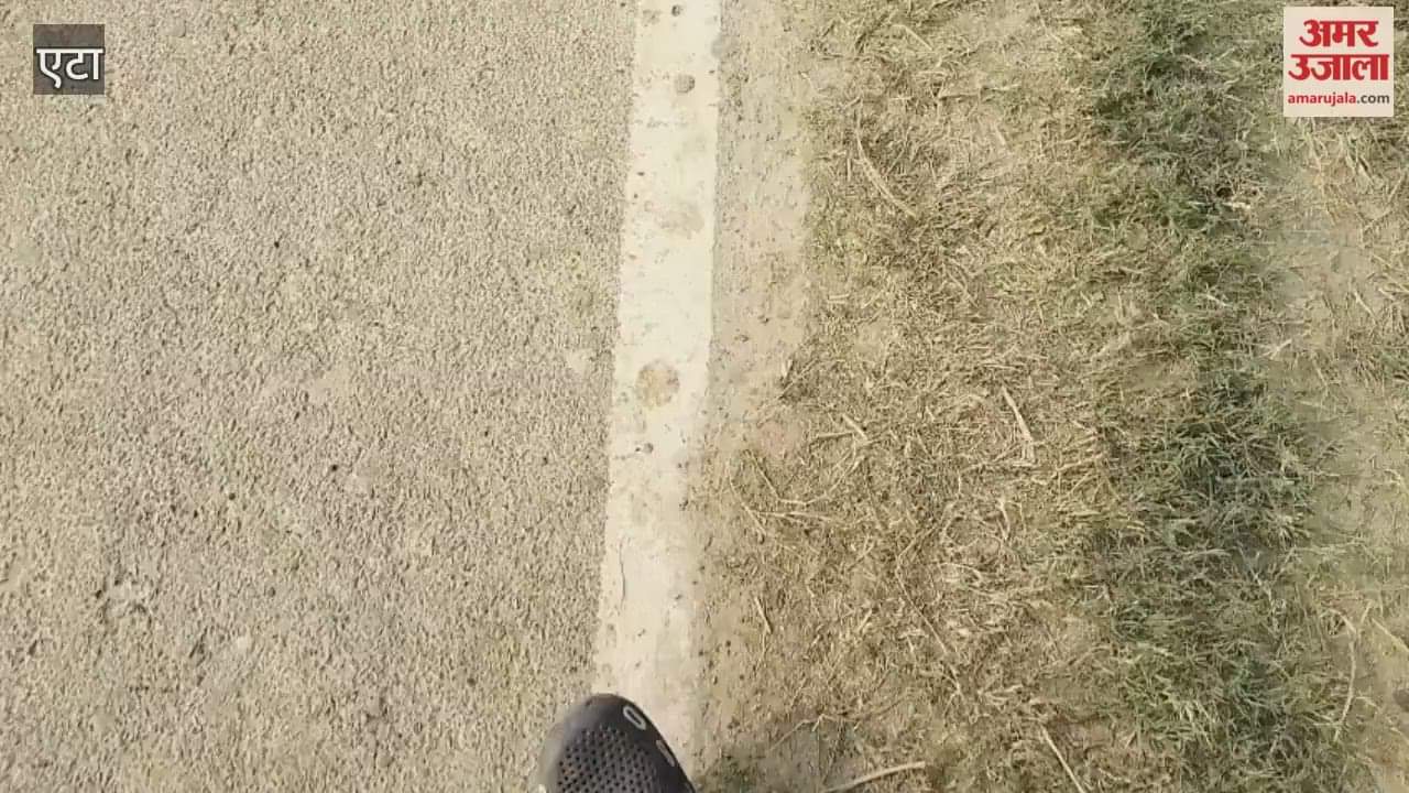 Illegal Tree Cutting in Misakalan Village Avagarh