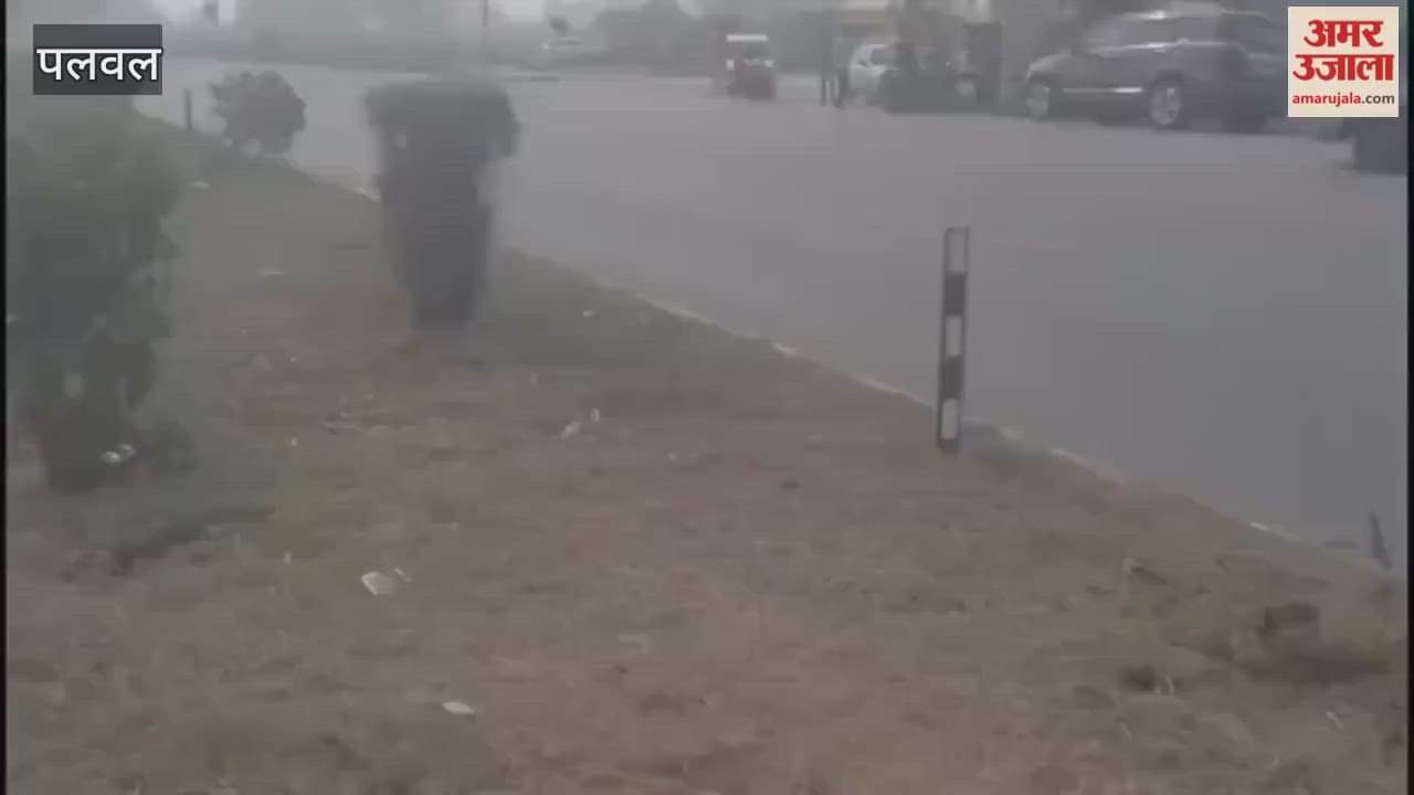 Forty year old man dies after hit by recovery crane in Palwal