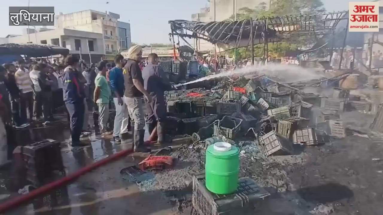 Fire breaks out in Ludhiana vegetable market
