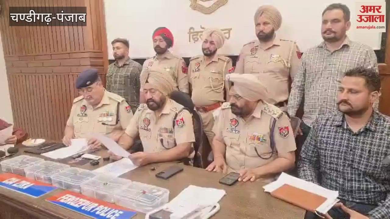 Mallanwala police arrested the accused with 1 kg 50 grams of opium.