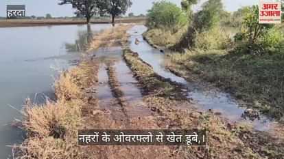 Harda : Irrigation Department’s Negligence Causes Canal Overflow, Fields Flooded, Farmers Demand Compensation