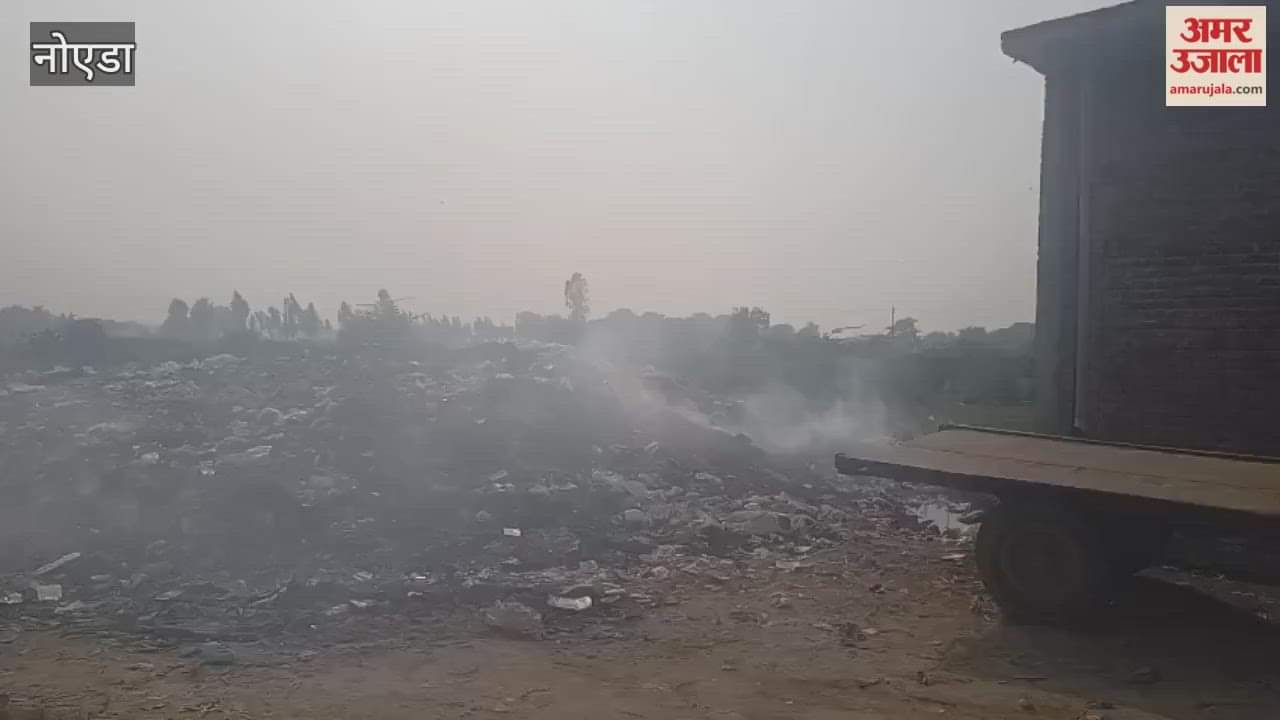 Increase in pollution due to garbage in Thora village of Greater Noida