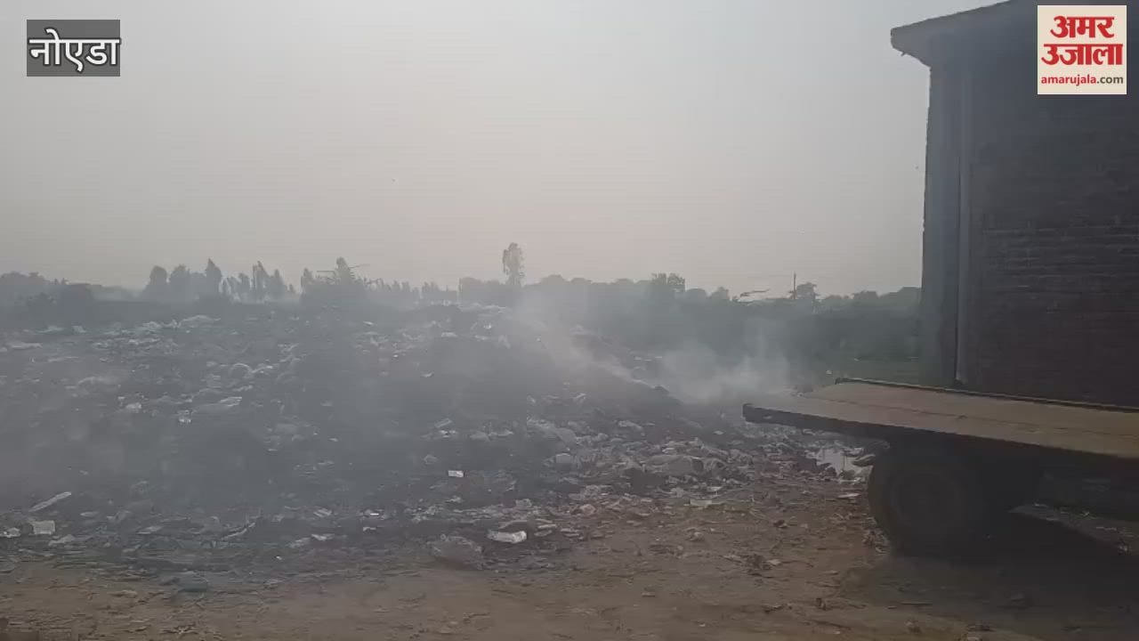 Increase in pollution due to garbage in Thora village of Greater Noida