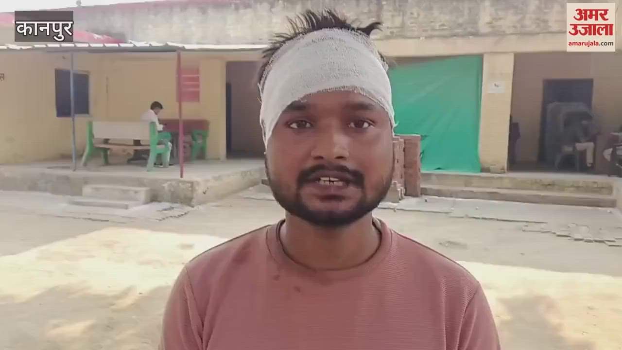 Kicks and punches were exchanged at a birthday party and a young man's ear was bitten