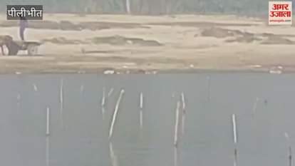 Animal remains found again in Devha river in pilibhit
