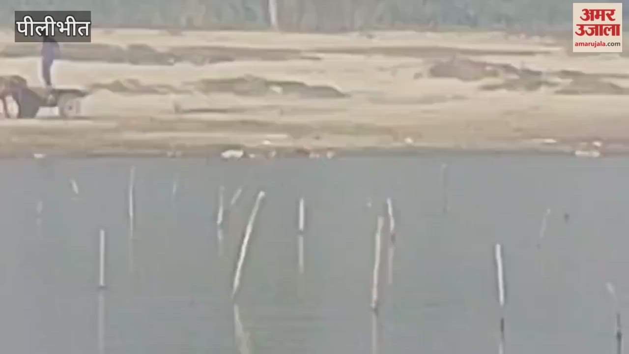 Animal remains found again in Devha river in pilibhit