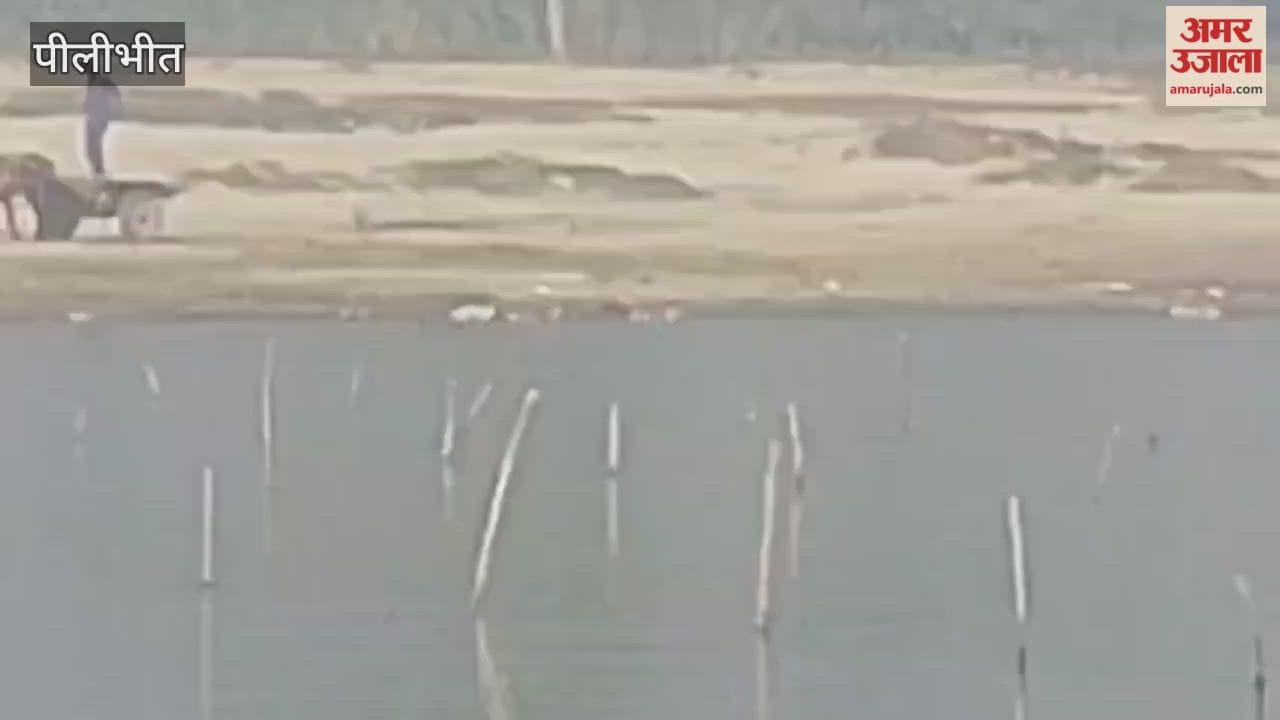 Animal remains found again in Devha river in pilibhit